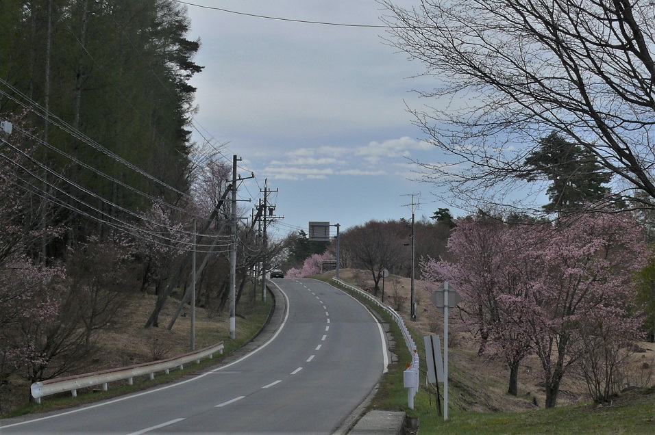 http://www.alpico.co.jp/shikinomori/news/images/P1200596.JPG