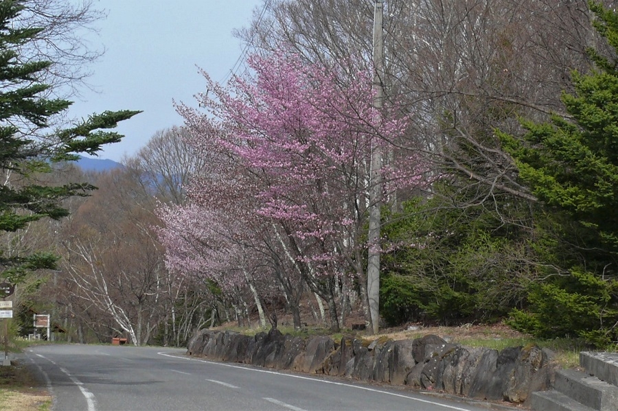 http://www.alpico.co.jp/shikinomori/news/images/P1200604.JPG
