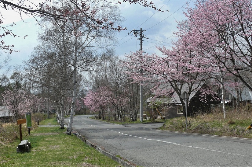 http://www.alpico.co.jp/shikinomori/news/images/P1200609.JPG