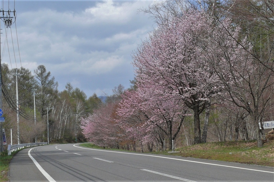 http://www.alpico.co.jp/shikinomori/news/images/P1200612.JPG