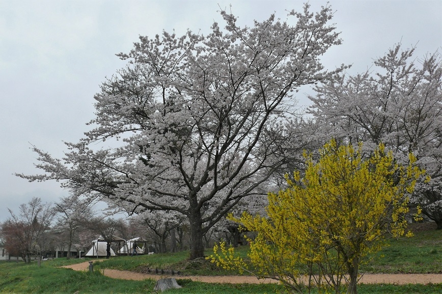 http://www.alpico.co.jp/shikinomori/news/images/P1200624.JPG