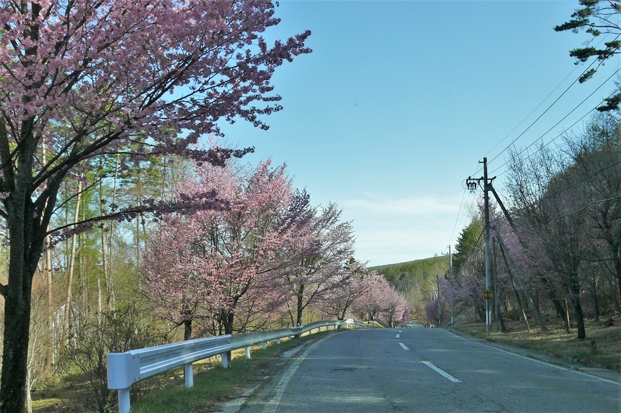 http://www.alpico.co.jp/shikinomori/news/images/P1200639.JPG