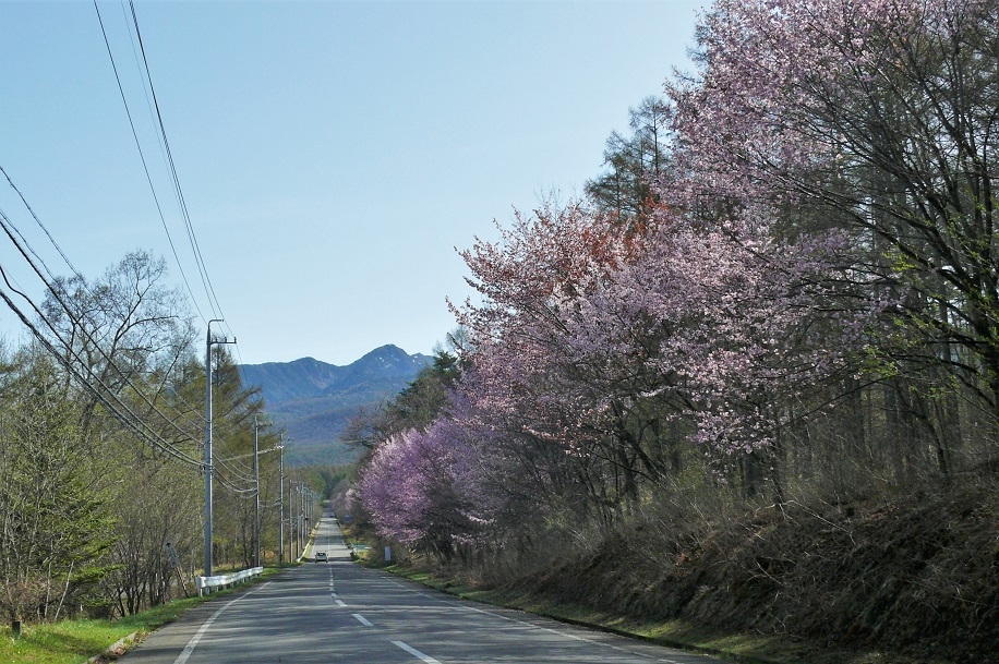 http://www.alpico.co.jp/shikinomori/news/images/P1200646.JPG