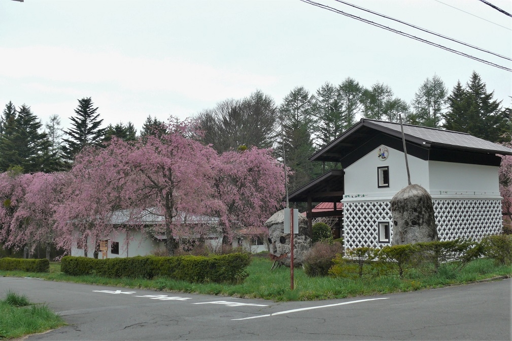 http://www.alpico.co.jp/shikinomori/news/images/P1200688.JPG