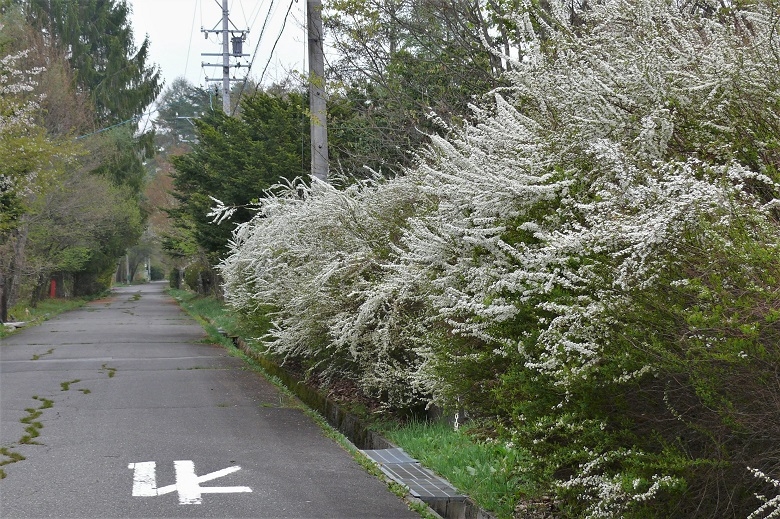 http://www.alpico.co.jp/shikinomori/news/images/P1200697.JPG