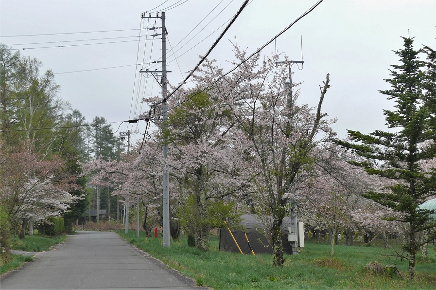 http://www.alpico.co.jp/shikinomori/news/images/P1200698.JPG