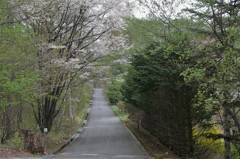 http://www.alpico.co.jp/shikinomori/news/images/P1200706.JPG