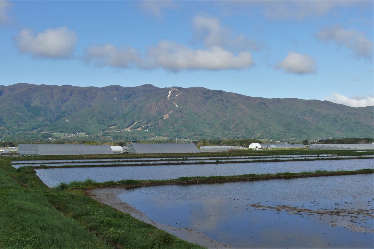 http://www.alpico.co.jp/shikinomori/news/images/P1200793.JPG
