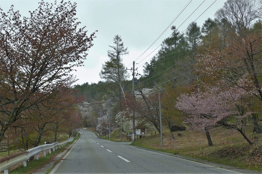 http://www.alpico.co.jp/shikinomori/news/images/P1200834.JPG