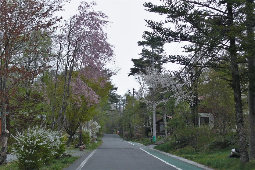 http://www.alpico.co.jp/shikinomori/news/images/P1200835.JPG