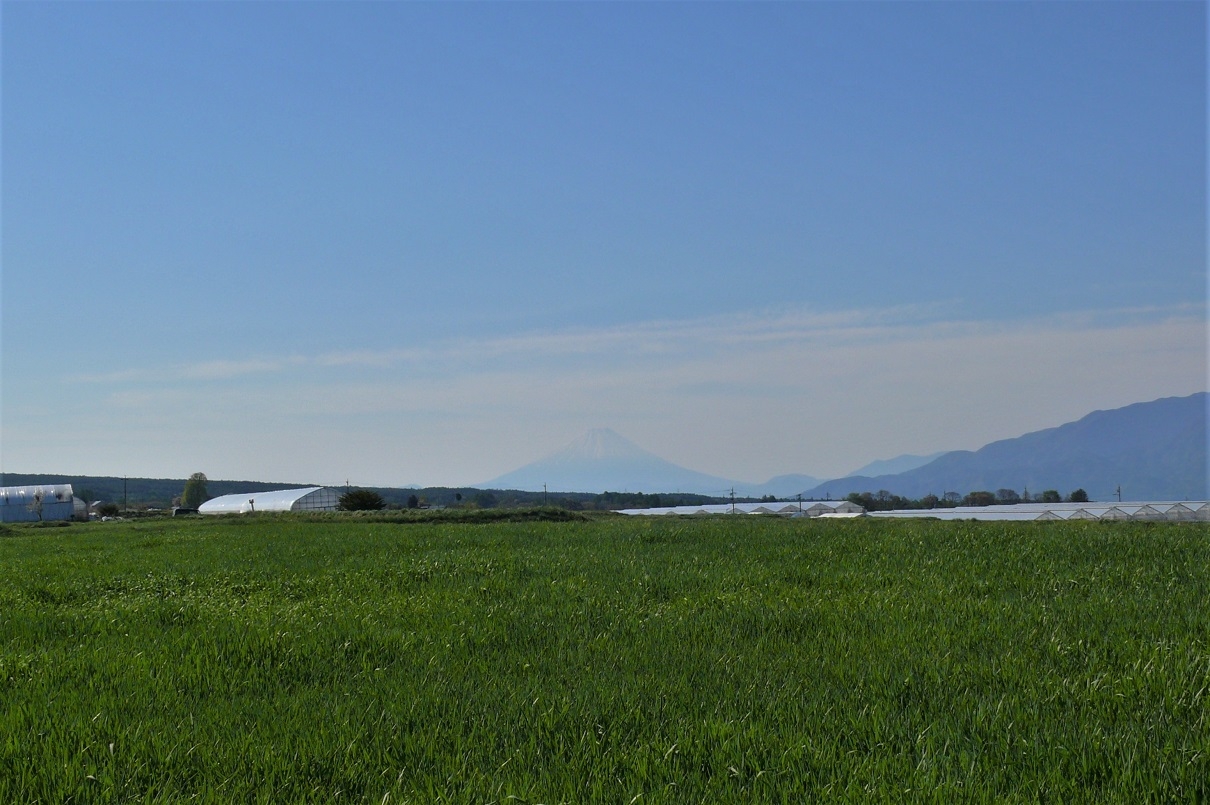 http://www.alpico.co.jp/shikinomori/news/images/P1200872.JPG