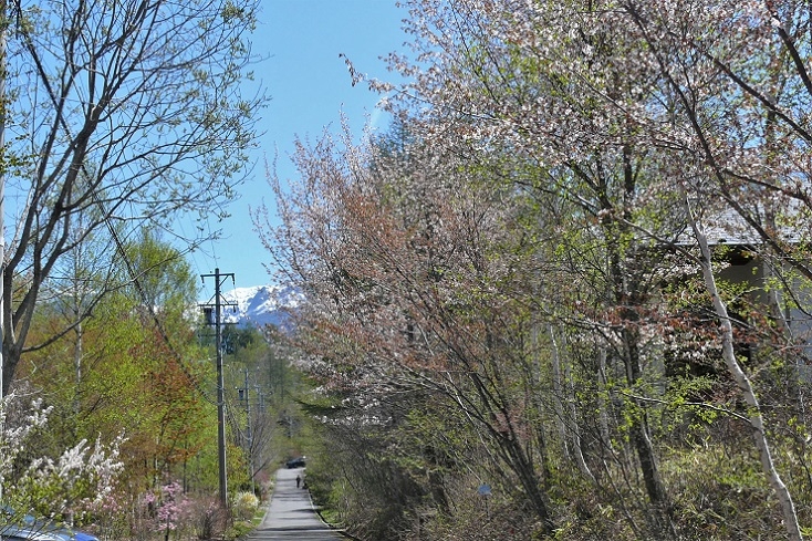 http://www.alpico.co.jp/shikinomori/news/images/P1200895.JPG