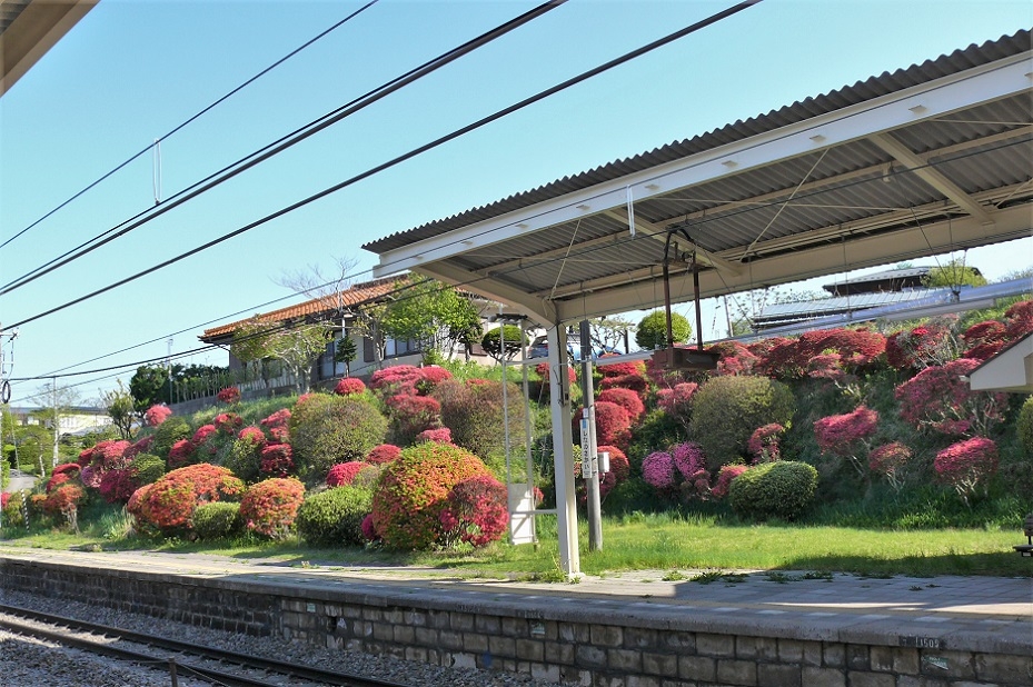 http://www.alpico.co.jp/shikinomori/news/images/P1200971.JPG