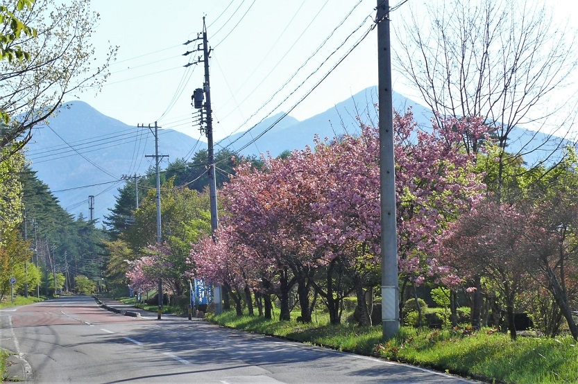 http://www.alpico.co.jp/shikinomori/news/images/P1200978.JPG