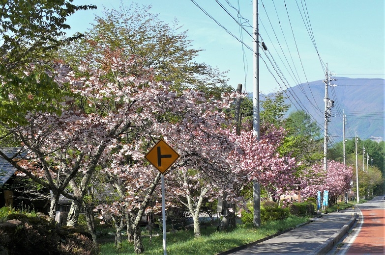 http://www.alpico.co.jp/shikinomori/news/images/P1200984.JPG