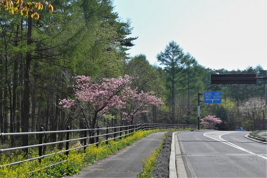http://www.alpico.co.jp/shikinomori/news/images/P1200995.JPG