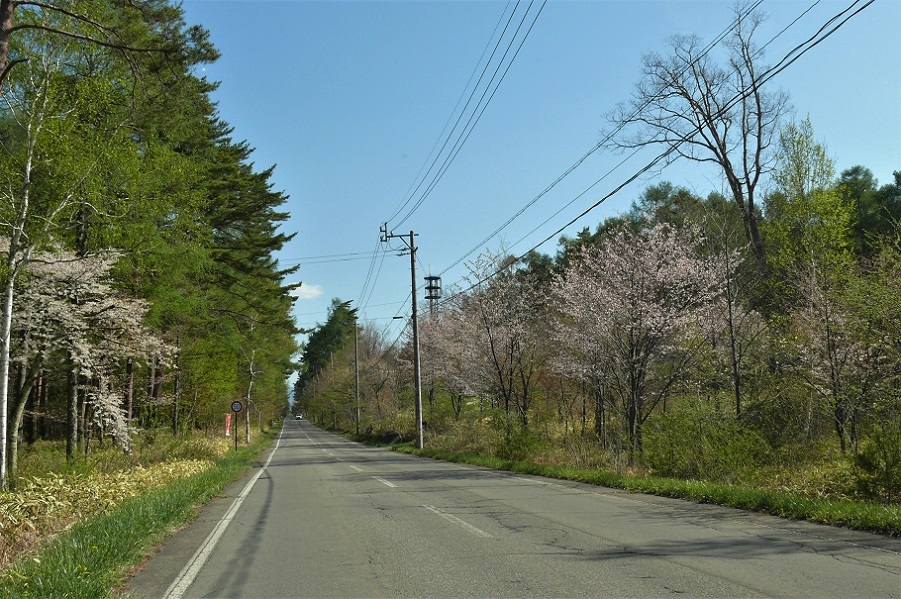 http://www.alpico.co.jp/shikinomori/news/images/P1200997.JPG