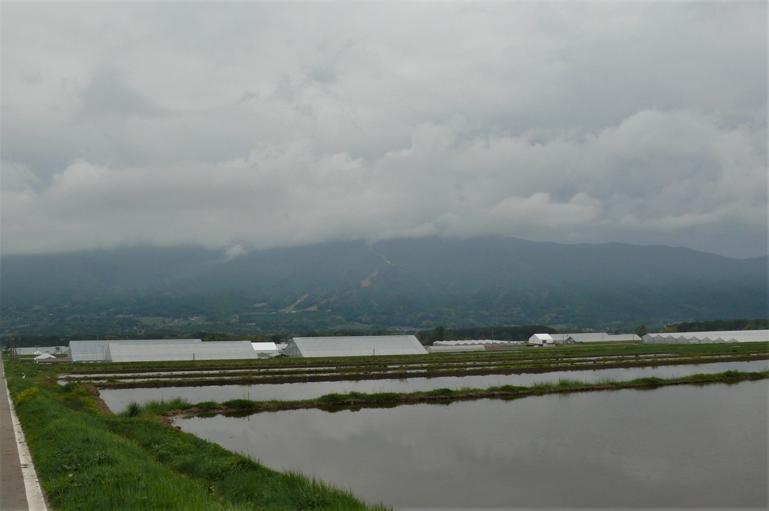 http://www.alpico.co.jp/shikinomori/news/images/P1210113.JPG