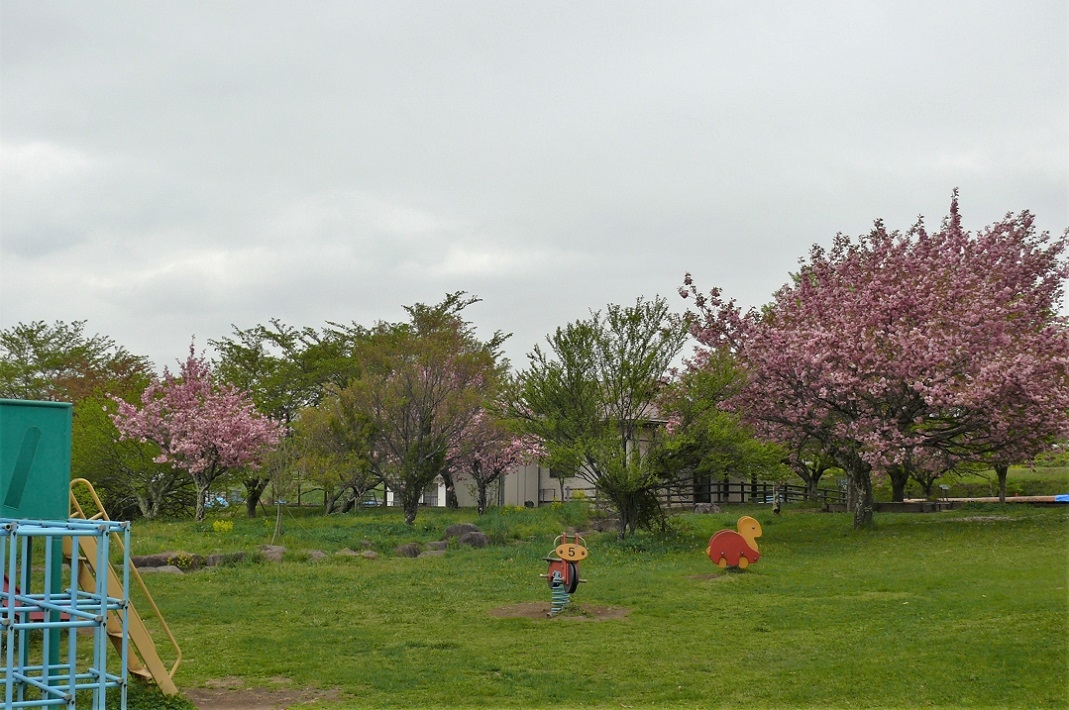 http://www.alpico.co.jp/shikinomori/news/images/P1210145.JPG