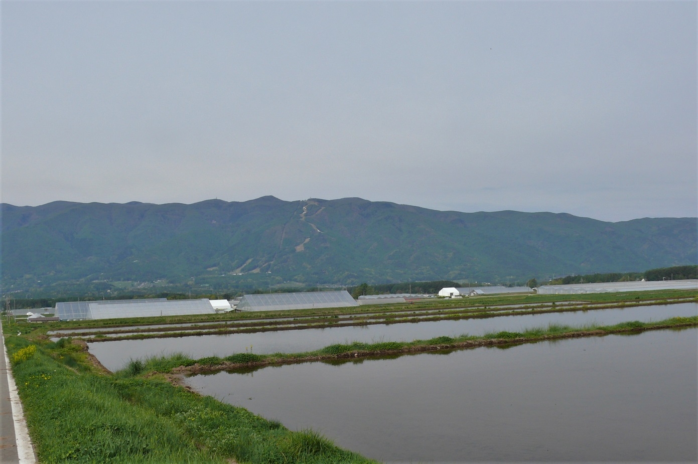 http://www.alpico.co.jp/shikinomori/news/images/P1210164.JPG