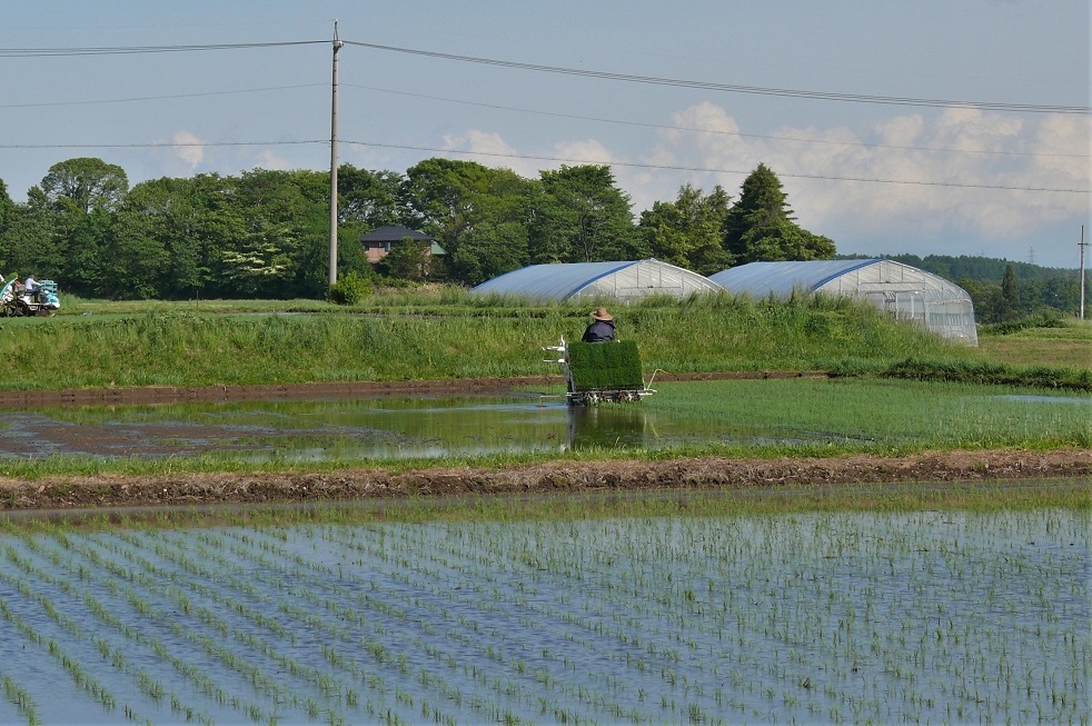 http://www.alpico.co.jp/shikinomori/news/images/P1210631.JPG