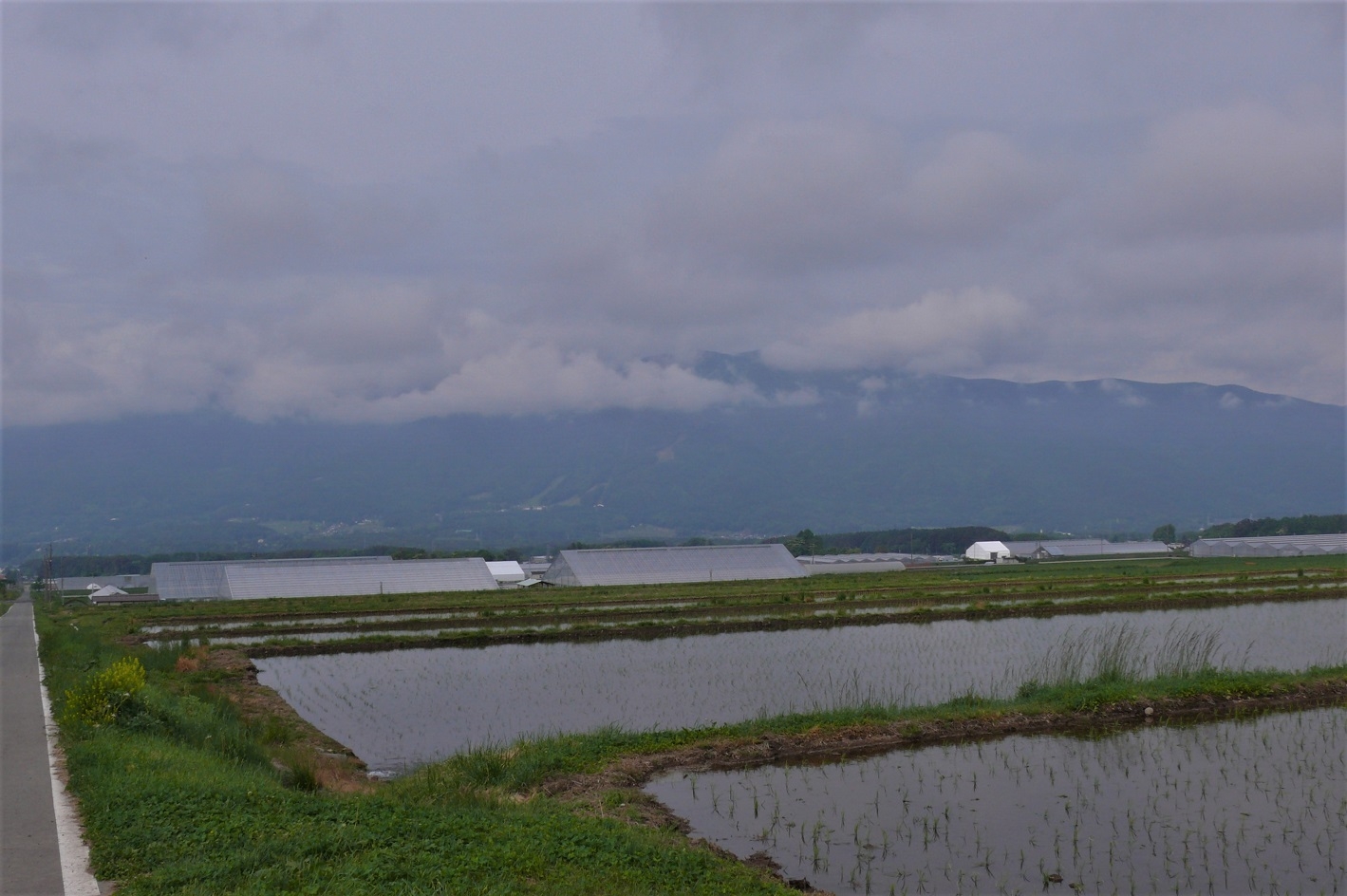 http://www.alpico.co.jp/shikinomori/news/images/P1210658.JPG