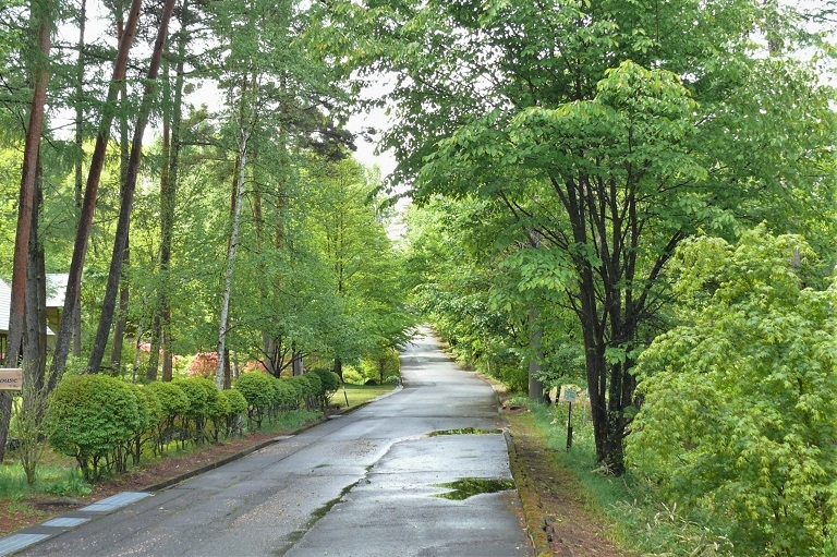 http://www.alpico.co.jp/shikinomori/news/images/P1210694.JPG