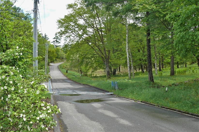 http://www.alpico.co.jp/shikinomori/news/images/P1210726.JPG