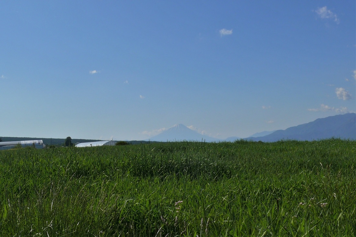 http://www.alpico.co.jp/shikinomori/news/images/P1210799.JPG