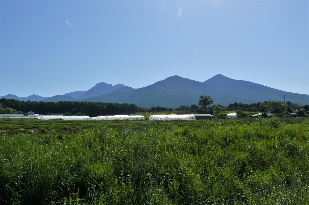 http://www.alpico.co.jp/shikinomori/news/images/P1210845.JPG