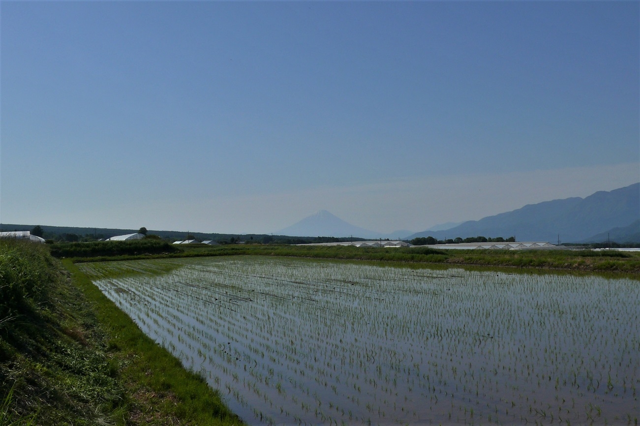http://www.alpico.co.jp/shikinomori/news/images/P1210848.JPG