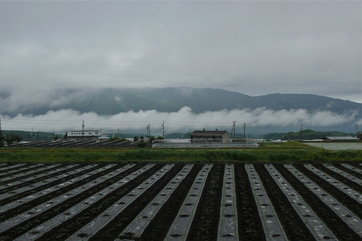 http://www.alpico.co.jp/shikinomori/news/images/P1210866.JPG