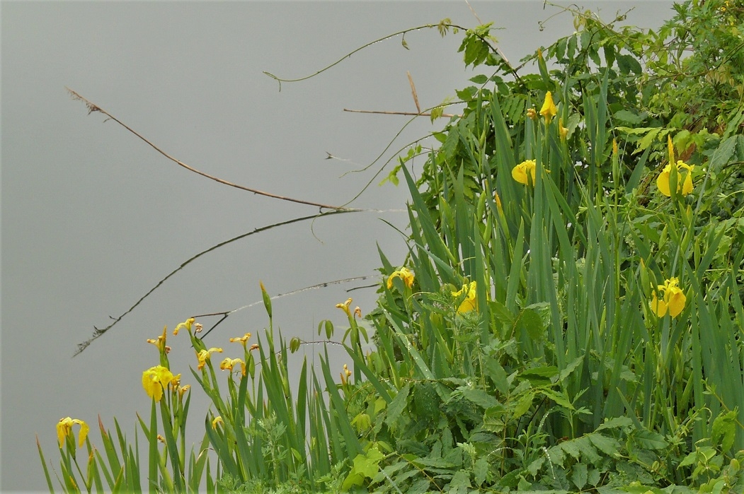 http://www.alpico.co.jp/shikinomori/news/images/P1210899.JPG
