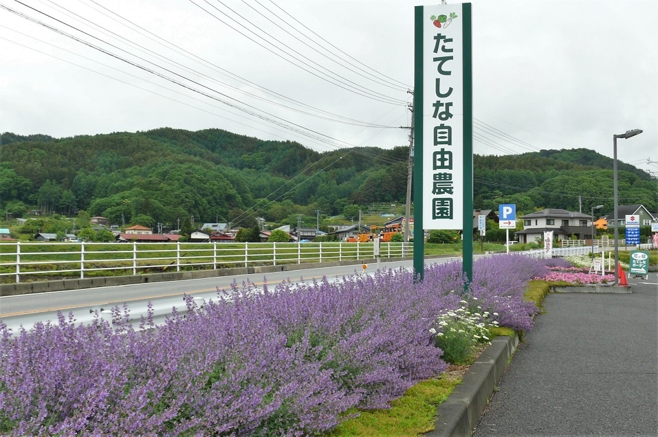 http://www.alpico.co.jp/shikinomori/news/images/P1210923.JPG