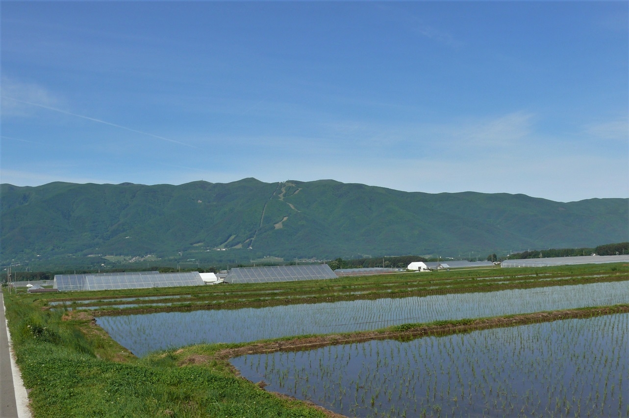 http://www.alpico.co.jp/shikinomori/news/images/P1210963.JPG