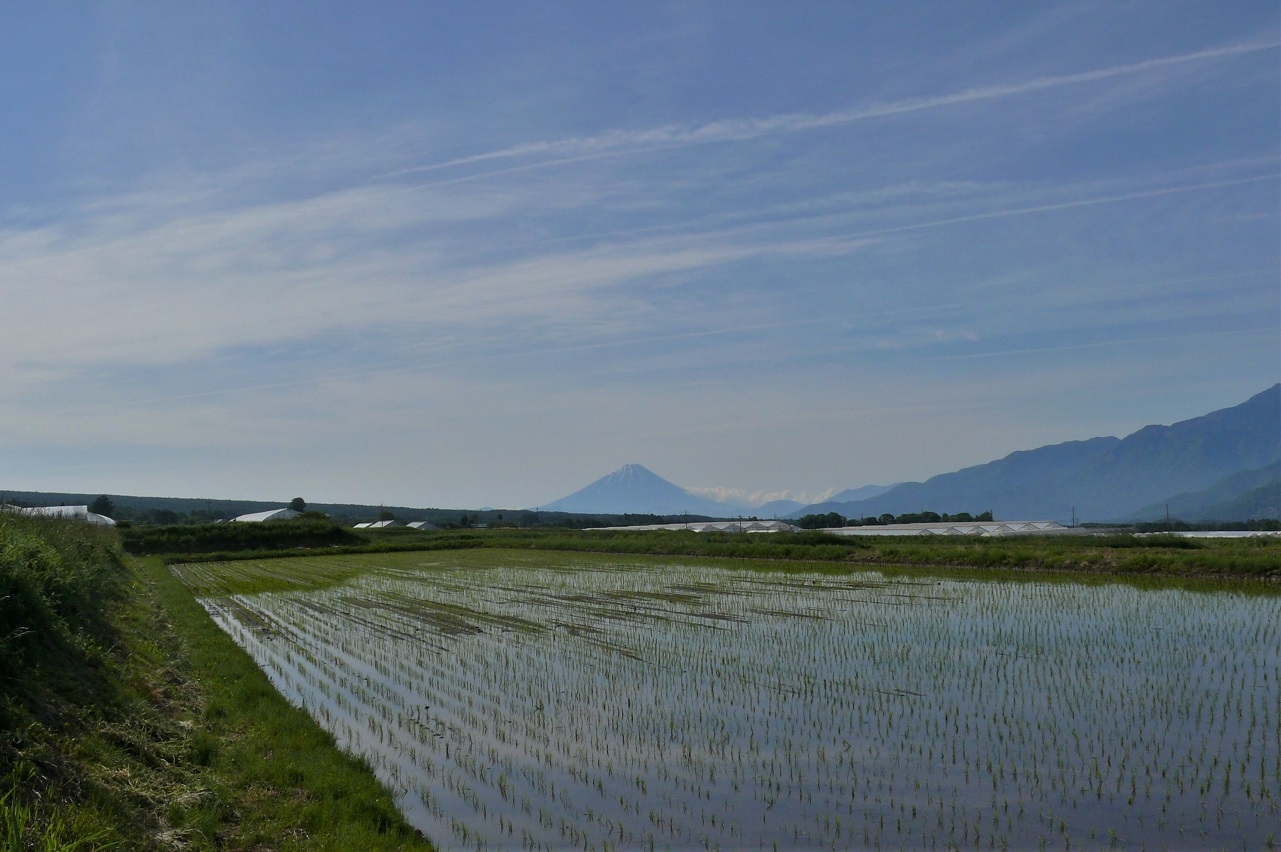 http://www.alpico.co.jp/shikinomori/news/images/P1210964.JPG