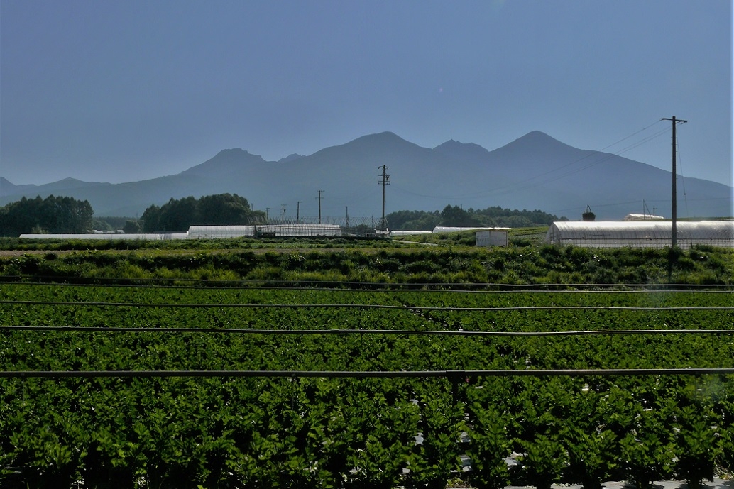 http://www.alpico.co.jp/shikinomori/news/images/P1220011.JPG