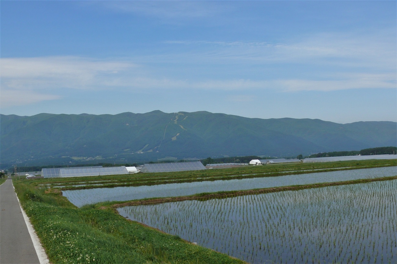 http://www.alpico.co.jp/shikinomori/news/images/P1220062.JPG