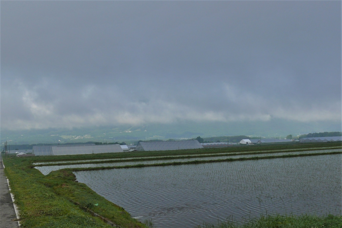 http://www.alpico.co.jp/shikinomori/news/images/P1220271.JPG