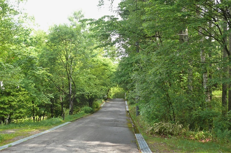 http://www.alpico.co.jp/shikinomori/news/images/P1220287.JPG