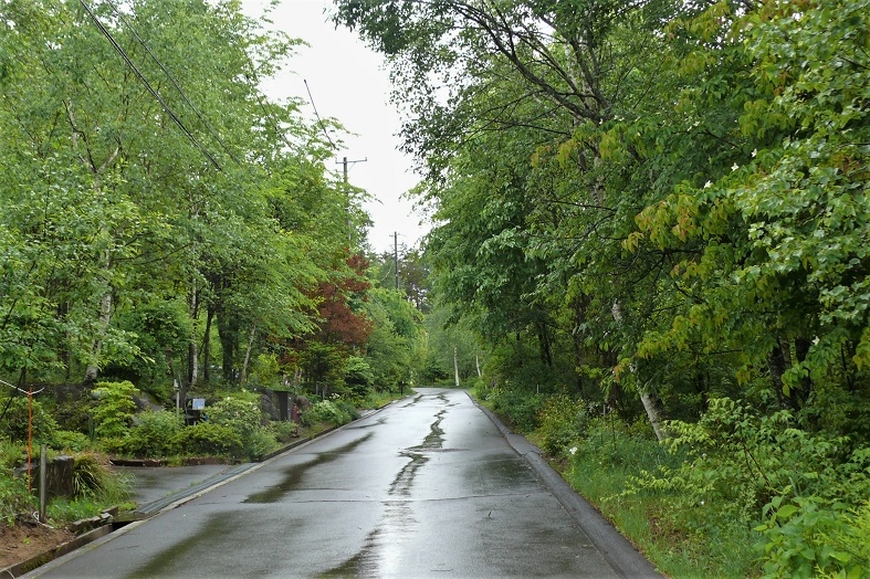 http://www.alpico.co.jp/shikinomori/news/images/P1220387.JPG