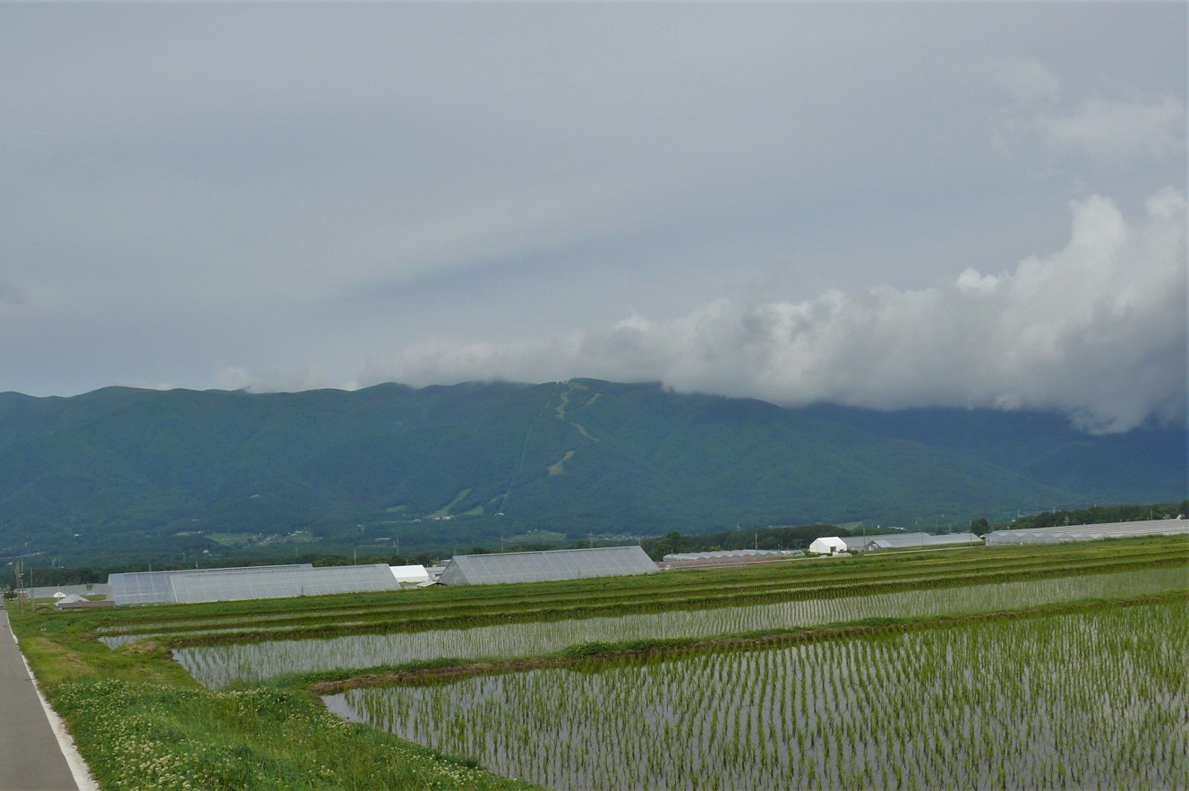 http://www.alpico.co.jp/shikinomori/news/images/P1220451.JPG