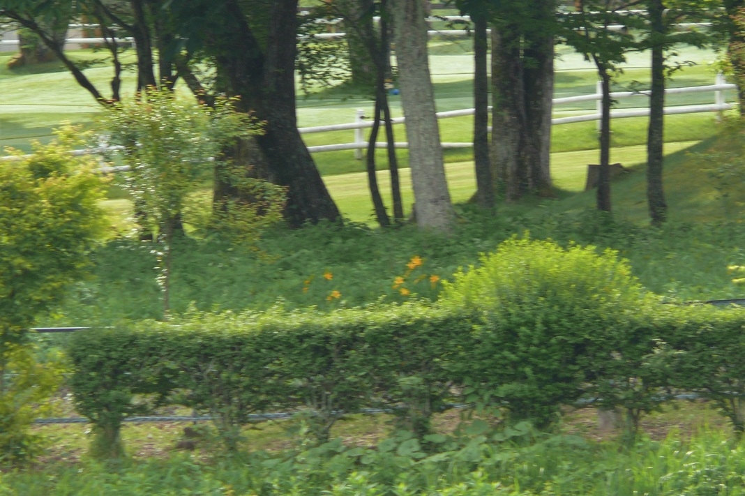http://www.alpico.co.jp/shikinomori/news/images/P1220459.JPG