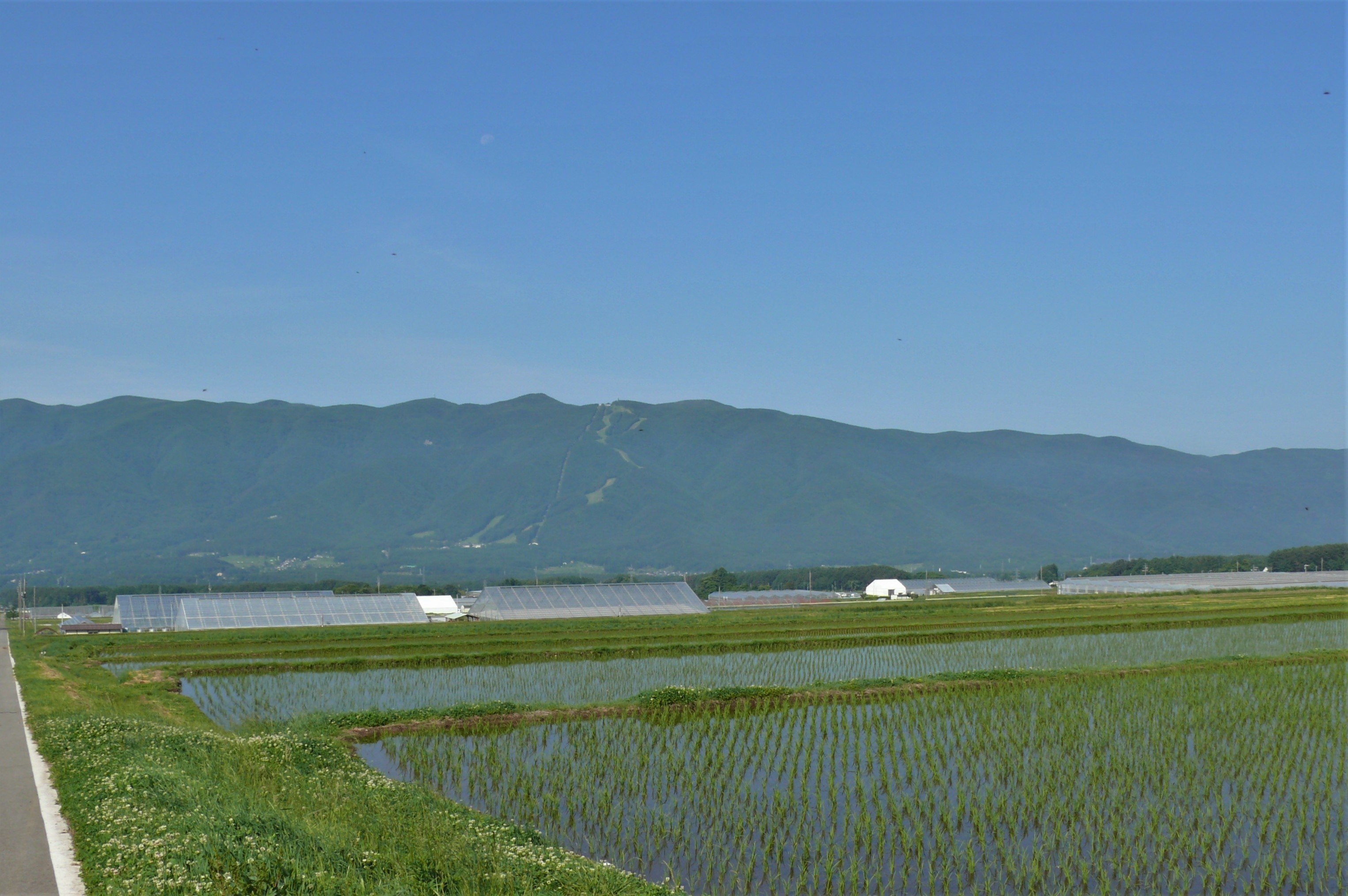 http://www.alpico.co.jp/shikinomori/news/images/P1220528.JPG