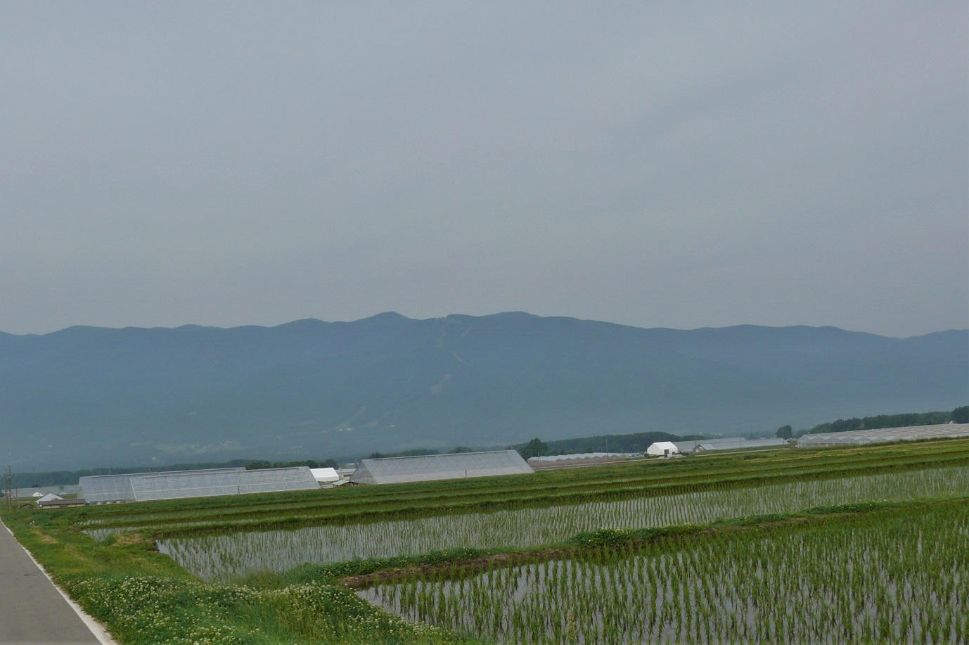 http://www.alpico.co.jp/shikinomori/news/images/P1220539.JPG