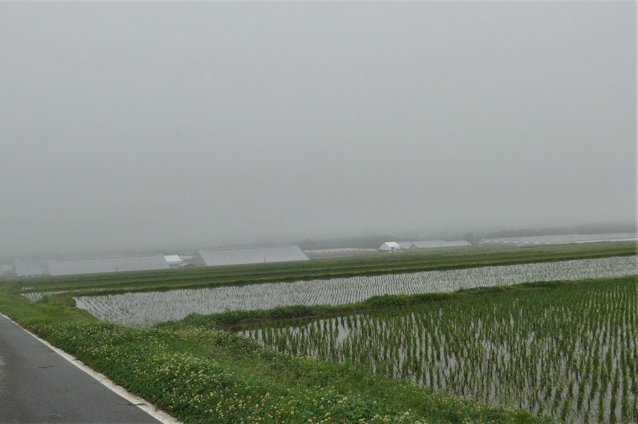 http://www.alpico.co.jp/shikinomori/news/images/P1220573.JPG