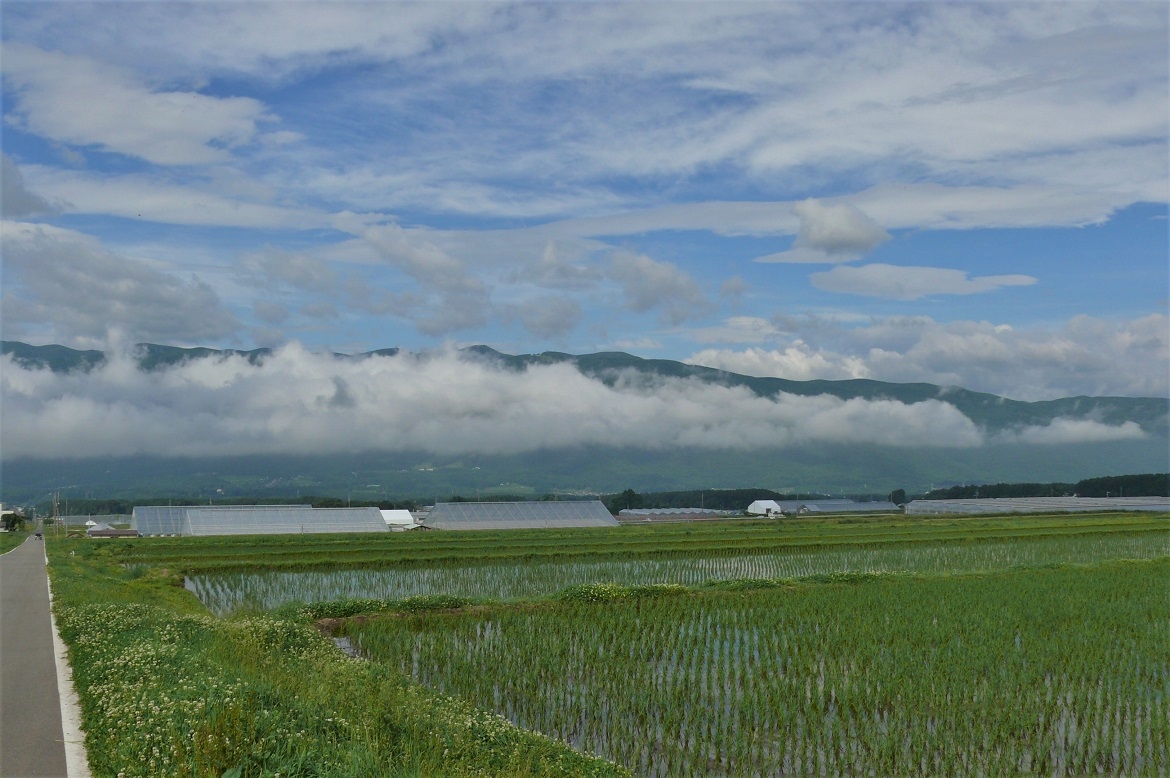 http://www.alpico.co.jp/shikinomori/news/images/P1220592.JPG