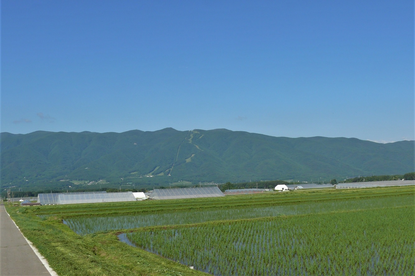 http://www.alpico.co.jp/shikinomori/news/images/P1220619.JPG