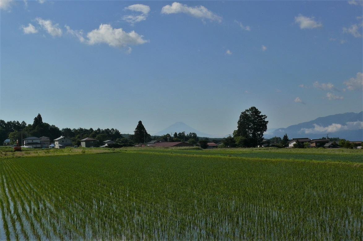 http://www.alpico.co.jp/shikinomori/news/images/P1220620.JPG