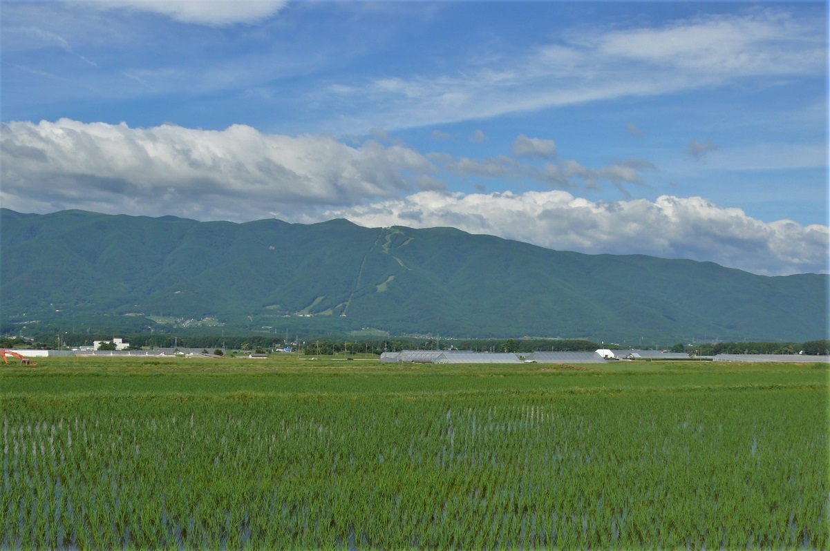 http://www.alpico.co.jp/shikinomori/news/images/P1220709.JPG